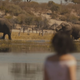 Image for article titled There are very few black people in Taylor Swift’s wild Africa dreams
